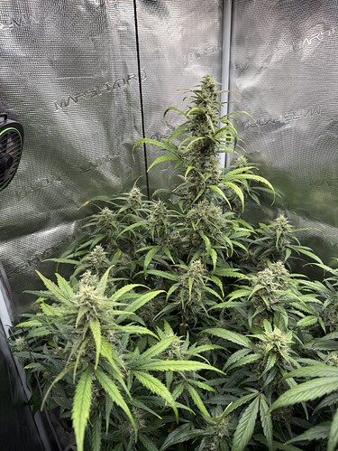 Growreport Bild 26