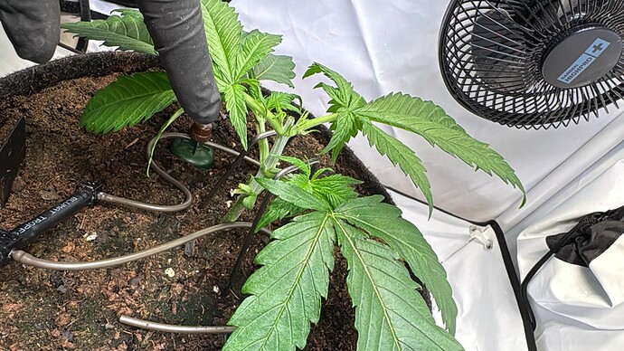 Growreport Bild 7