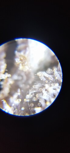 Growreport Bild 15
