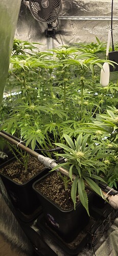 Growreport Bild 5