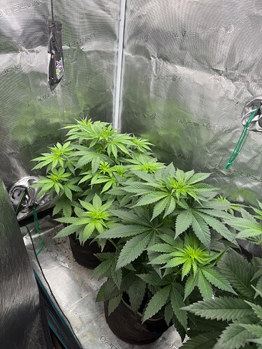Growreport Bild 11