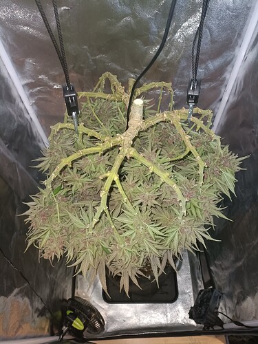 Growreport Bild 13