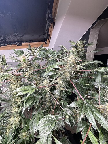 Growreport Bild 23