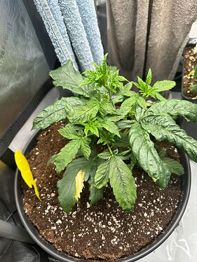 Growreport Bild 24