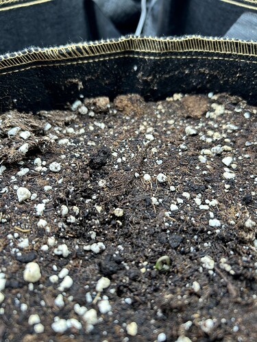 Growreport Bild 5