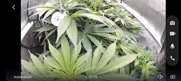 Growreport Bild 16