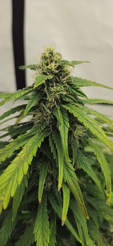Growreport Bild 14