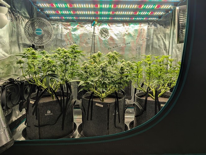 Growreport Bild 13