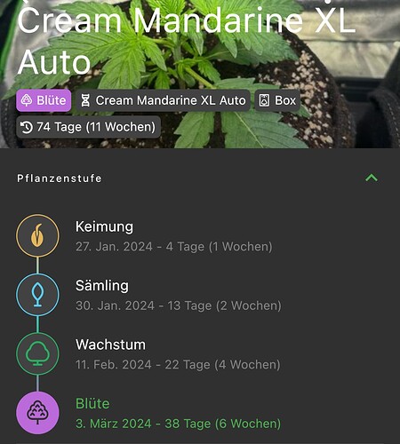 Growreport Bild 21