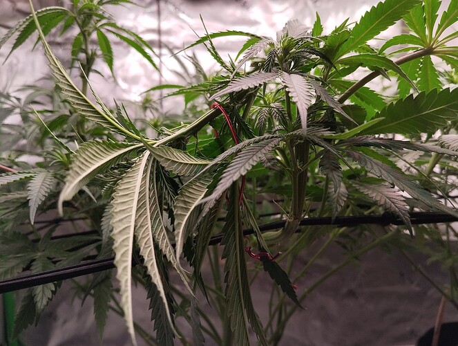 Growreport Bild 9