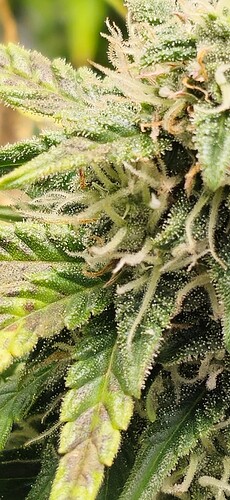 Growreport Bild 14