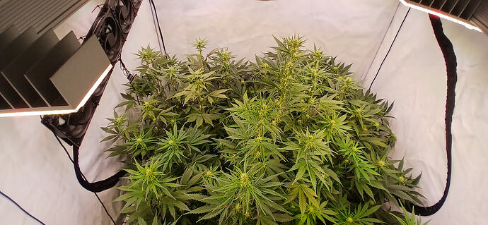 Growreport Bild 14