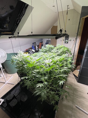 Growreport Bild 10