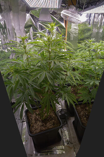 VT74 BT6 (7)