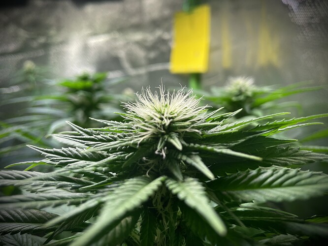 Growreport Bild 19