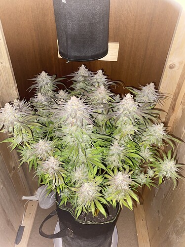 Growreport Bild 10