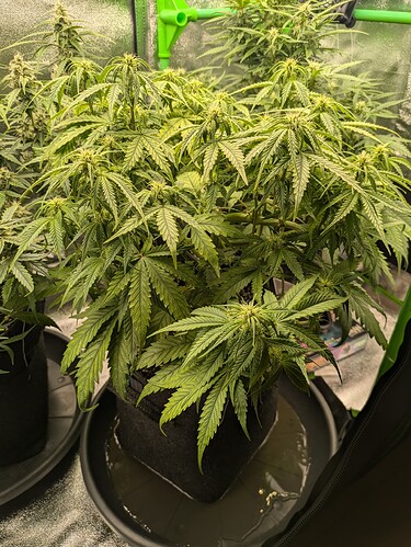 Growreport Bild 8