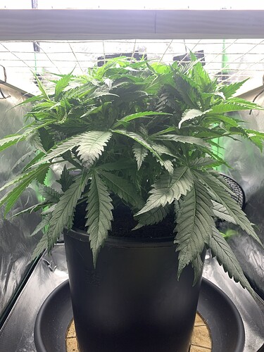 Growreport Bild 10