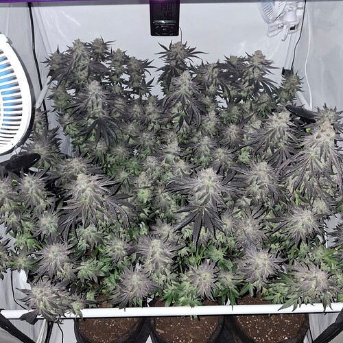 479946479_122170053104293599_3269544920768503890_n