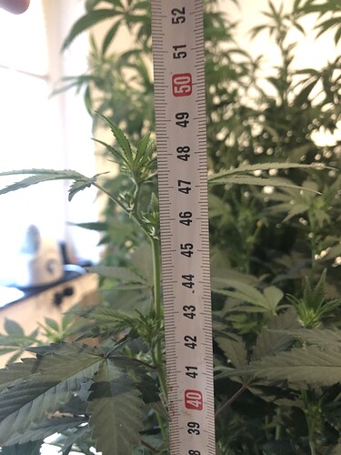 Growreport Bild 9