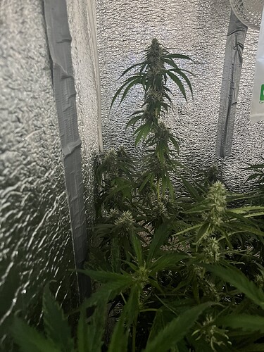 Growreport Bild 8