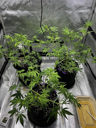 Growreport Bild 9
