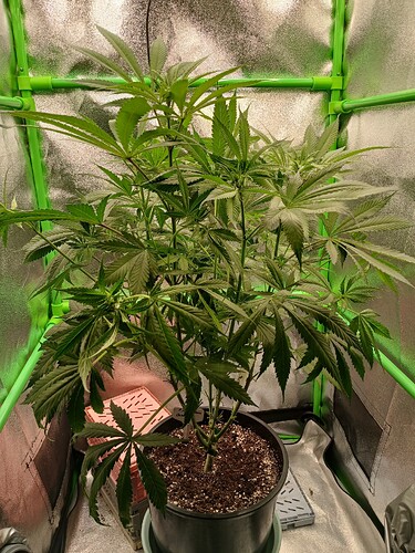 Growreport Bild 21