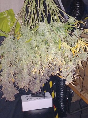 Growreport Bild 3