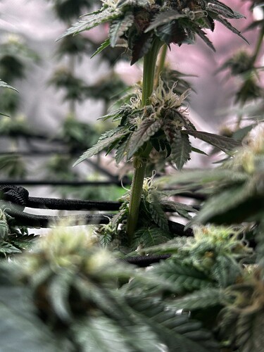 Growreport Bild 2