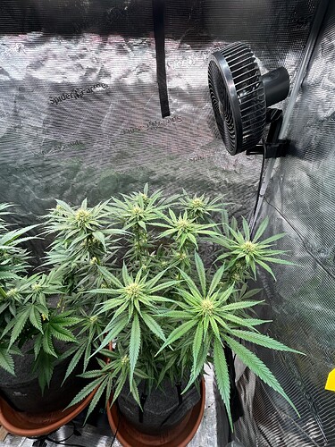 Growreport Bild 17
