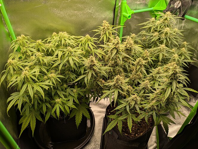 Growreport Bild 14