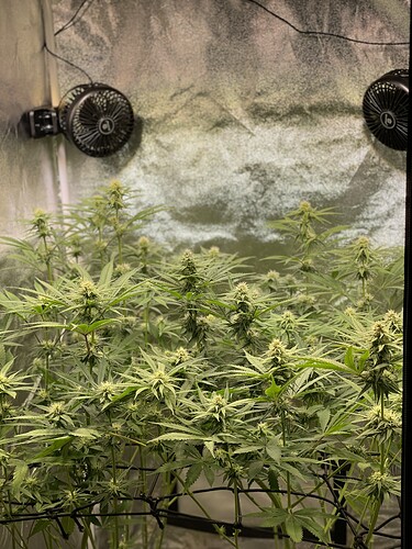 Growreport Bild 2