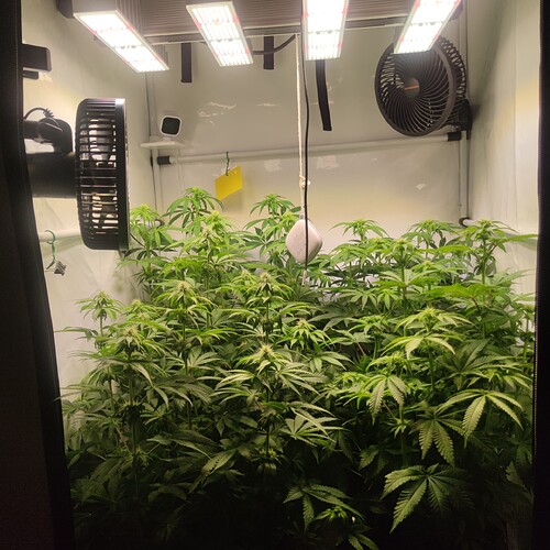 Growreport Bild 15
