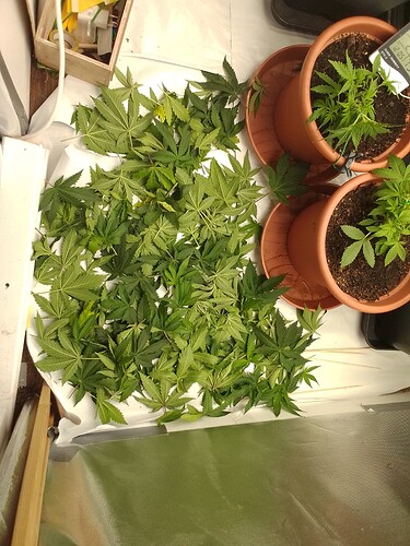 Growreport Bild 10
