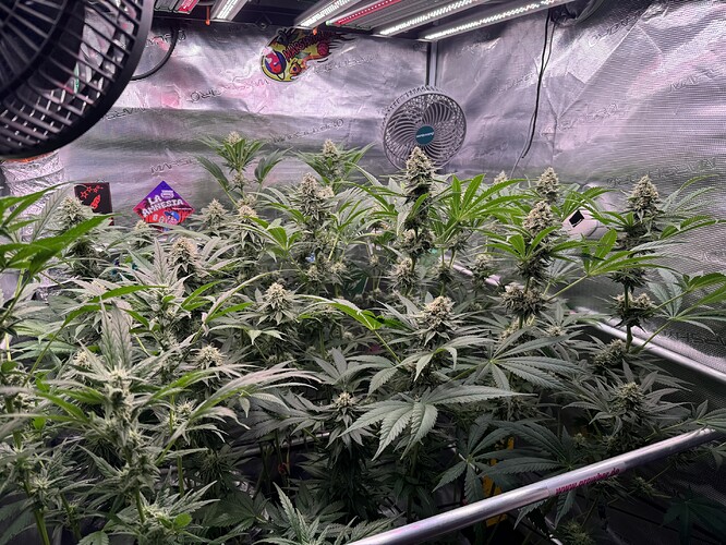 Growreport Bild 2