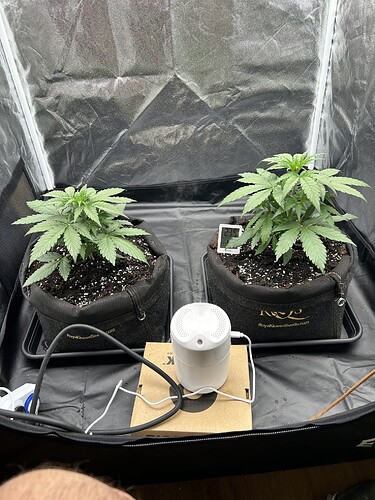 Growreport Bild 1