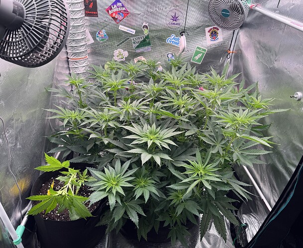 Growreport Bild 14