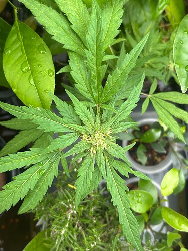 Growreport Bild 9