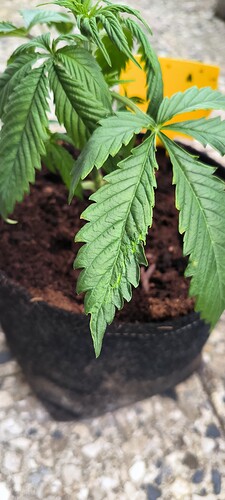 Growreport Bild 13