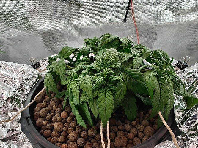 Growreport Bild 23