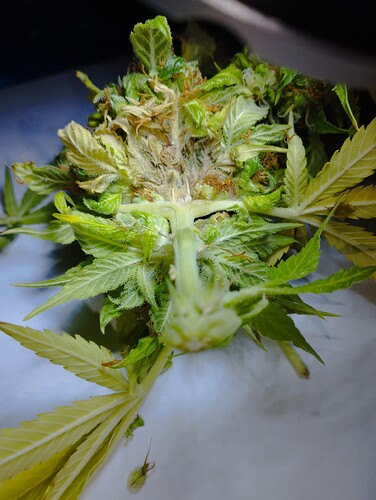 Growreport Bild 23
