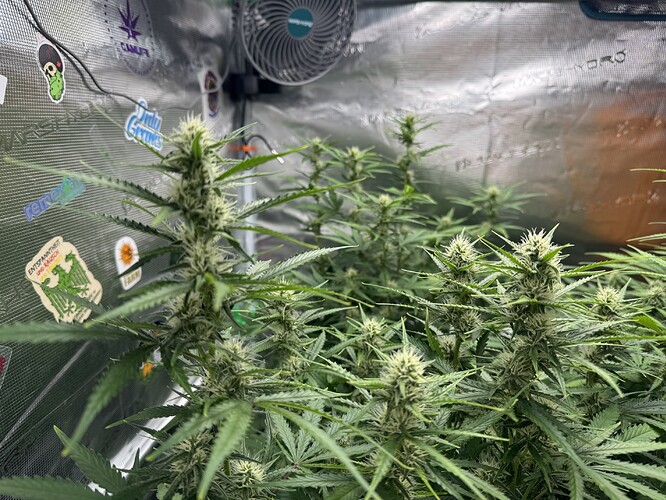 Growreport Bild 25