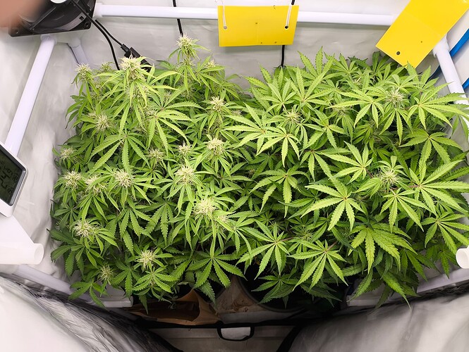 Growreport Bild 1