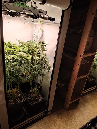 Growreport Bild 31