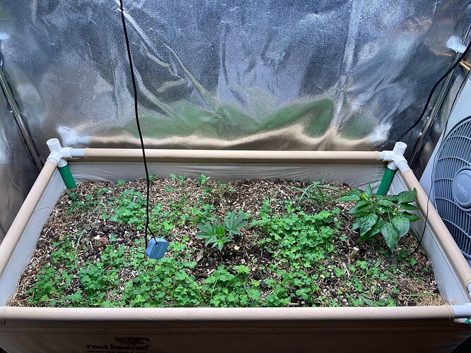 Growreport Bild 18