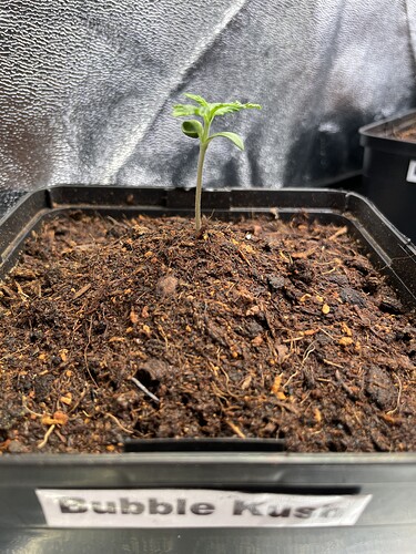 Growreport Bild 11