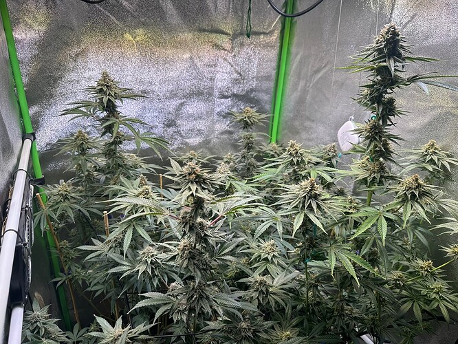 Growreport Bild 2
