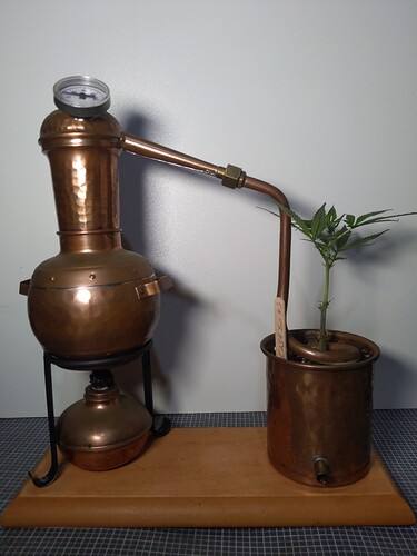 IMG_20240305_174500_003