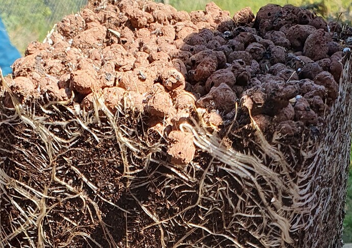 Growreport Bild 3