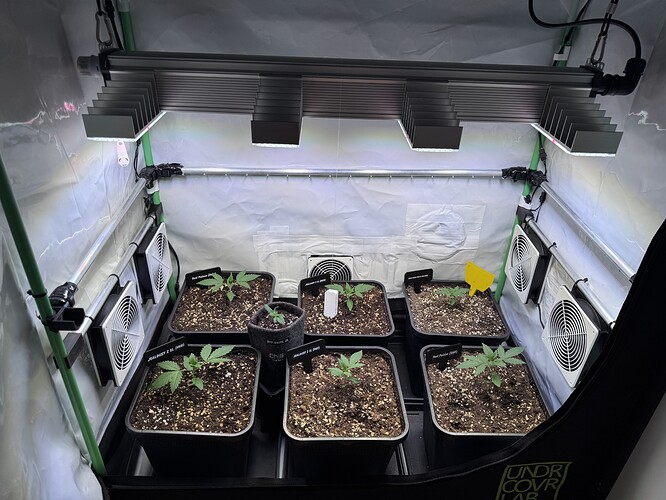 Growreport Bild 2
